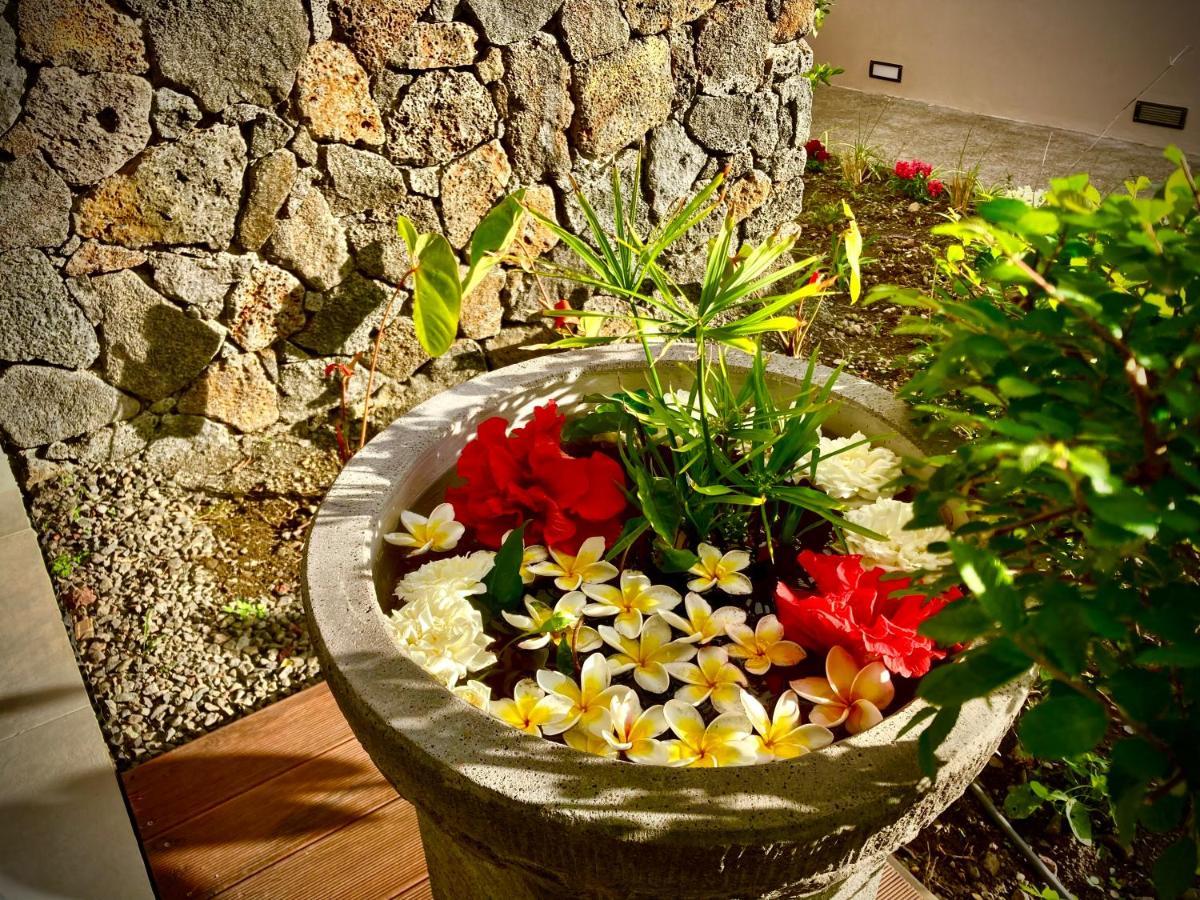 La Villa Kazuera シラオス エクステリア 写真